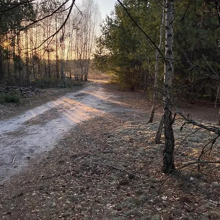 Holiday home Domek Drewniany Z Kominkiem Tomczyn